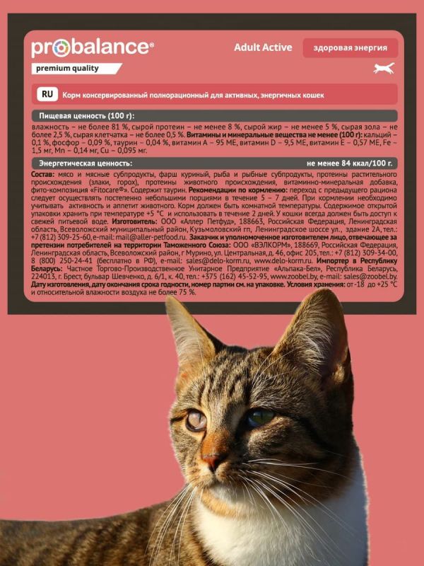 Консервы ProBalance Active для активных кошек